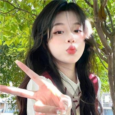 与鲨同泳